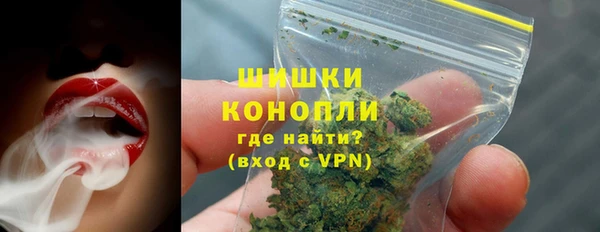 PSILOCYBIN Белокуриха