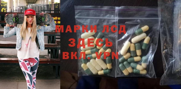 PSILOCYBIN Белокуриха